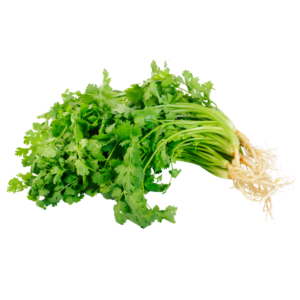 CORIANDER LEAVES  100GM