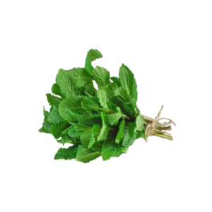 mint leaves  100 gm