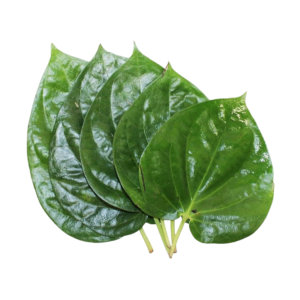 Betal leap ( pan ka patta) 10 pc