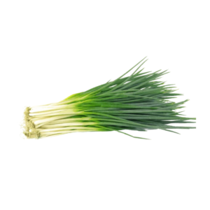 SPRING ONION 100GM