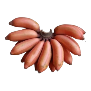 Banana red 500 gm