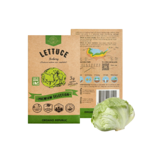 LETTUCE  ICEBERG SEEDS 500 GM