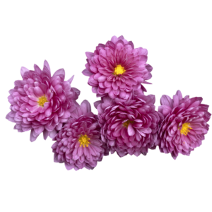 chrysanthemum purple 250 gm