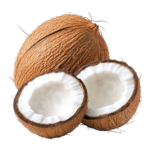 COCONUT 1 PC